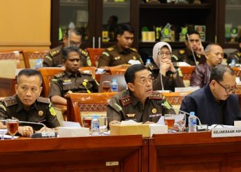 Wakil Jaksa Agung Sampaikan Visi Kejaksaan Di Hadapan Komisi III DPR RI