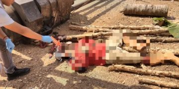 Tertimpa Alat Berat Saat Bekerja, Aman Tewas Di Tempat