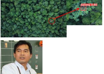 Kecerdasan Buatan dan Konservasi Orangutan Kalimantan