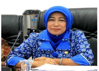 Ketua DPRD Barito Utara apresiasi peluncuran aplikasi Si-Baga