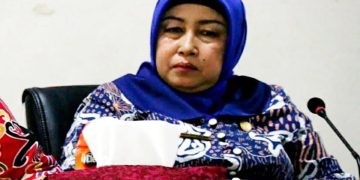 Ketua DPRD Barut apresiasi konsultasi publik penyusunan KLHS RPJMD