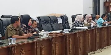 DPRD Barut harapkan seluruh desa terjangkau jaringan telekomunikasi