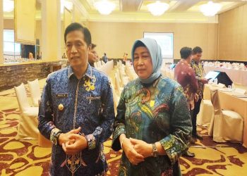 DPRD siap dukung pembangunan kelistrikan di Barito Utara