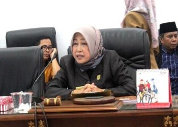 Tuntaskan masalah pelayanan kesehatan, DPRD Barito Utara gelar RDP