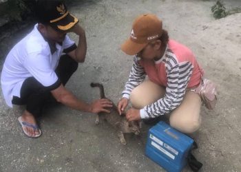 Anggota DPRD Kapuas Apresiasi Vaksinasi Rabies Distan Kapuas