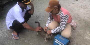 Anggota DPRD Kapuas Apresiasi Vaksinasi Rabies Distan Kapuas