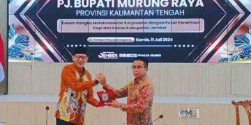 Lakukan Kerjasama Budidaya Tanaman Kopi dan Kakao, Pemkab Mura Kunker ke Jember