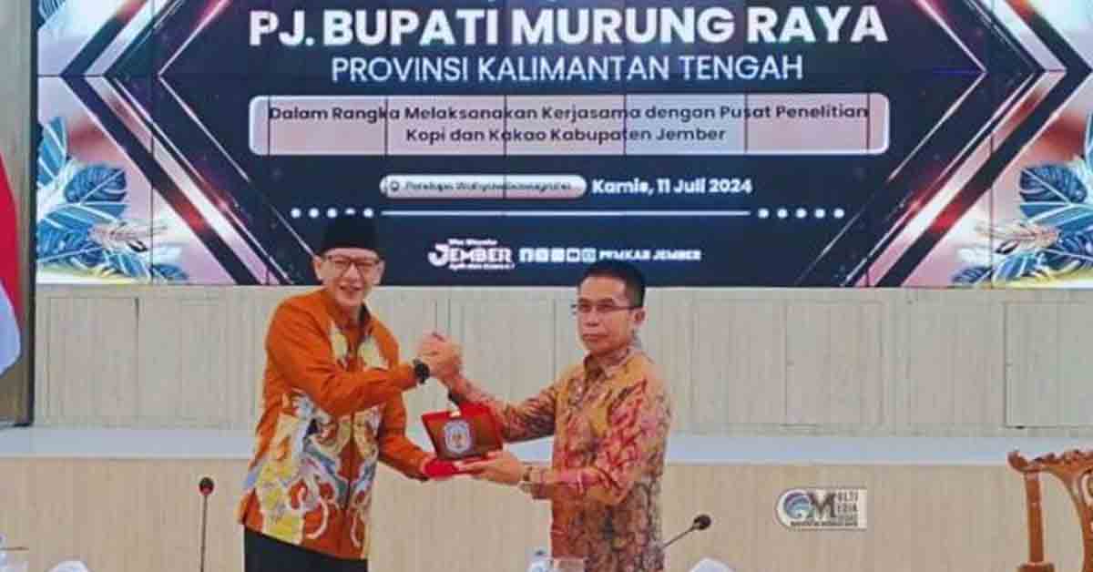 Lakukan Kerjasama Budidaya Tanaman Kopi dan Kakao, Pemkab Mura Kunker ke Jember