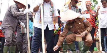 Pj Bupati Lakukan Penanaman Padi Gogo Bersama Direktur Perlindungan Perkebunan
