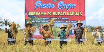 Pj Bupati Kapuas Panen Raya Padi di Desa Terusan Makmur Bataguh