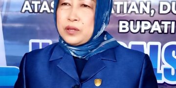 Ketua Dewan Apresiasi Respons Cepat BPBD, Disdamkarmat Serta Relawan Atasi Kebakaran