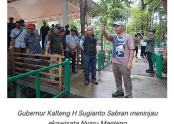 Gubernur Tinjau Ekowisata Nyaru Menteng