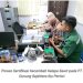 PBT UPT BP3B Laksanakan Sertifikasi Benih Kelapa Sawit