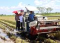 Kapolda Bersama Gubernur dan Forkopimda Panen Raya Padi di Pulang Pisau