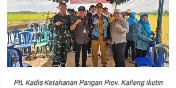 Dinas Ketahanan Pangan Kalteng Terus Kawal Panen Raya di Kabupaten Kapuas