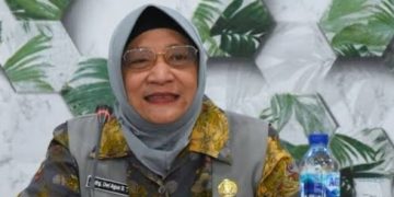 DLH Barito Utara adakan konsultasi publik penyusunan RPPLH 2025