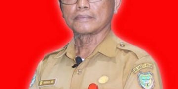 Dinkes Barut tingkatkan layanan puskesmas dengan pengobatan tradisional