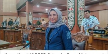 DPRD Minta Penambahan Ruang Hijau di Palangka Raya