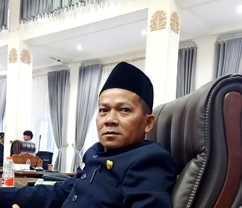 Anggota DPRD Kabupaten Barito Utara, Ardianto