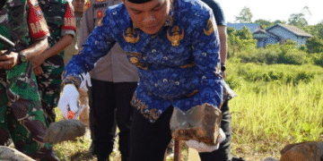 Pemkab Murung Raya Ikuti Rapat Validasi Data SPPG untuk Percepat Program Makan Bergizi Gratis