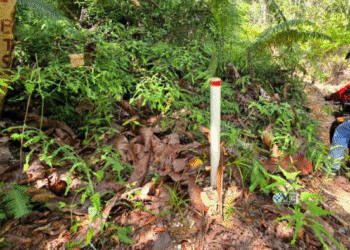 Akbid Mura Perkuat SDM Kesehatan Lewat Praktik Lapangan di RSUD Puruk Cahu