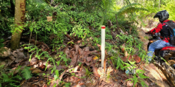 Akbid Mura Perkuat SDM Kesehatan Lewat Praktik Lapangan di RSUD Puruk Cahu