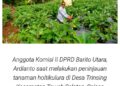 Anggota DPRD Barut Apresiasi Petani Hortikultura di Trinsing, Raup Pendapatan Ratusan Ribu