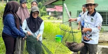 DKPP Barito Utara Dorong Penguatan Ketahanan Pangan Daerah