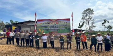 Guna Dukung Swasembada Pangan, Pemkab Barito Utara Wujudkan Sinergi Lintas Sektor Lewat Program Tanam Jagung Serentak
