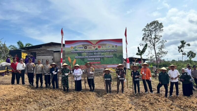 Guna Dukung Swasembada Pangan, Pemkab Barito Utara Wujudkan Sinergi Lintas Sektor Lewat Program Tanam Jagung Serentak