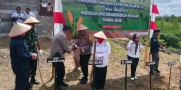 Tanam Jagung Serentak Dukung Swasembada Pangan, Wujudkan Sinergi Lintas Sektor