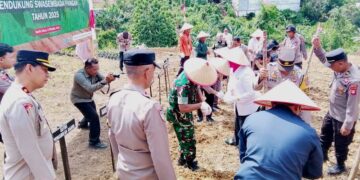 Tanam Jagung Serentak, Pj Bupati Targetkan Swasembada Pangan 2025