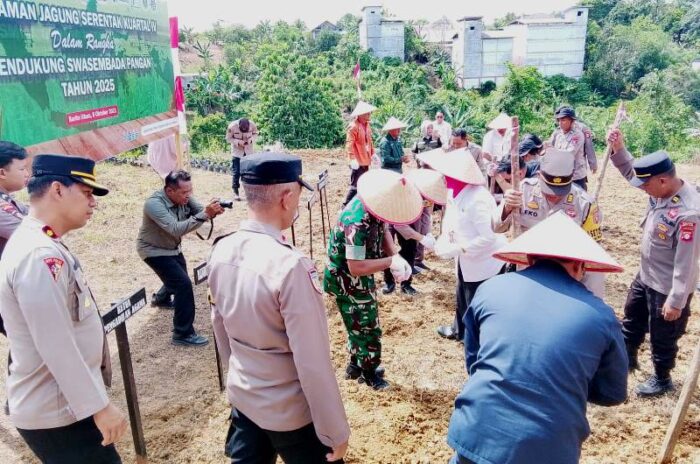 Penjabat (Pj) Bupati Barito Utara, Indra Gunawan, yang diwakili Staf Ahli Bupati Bidang Pemerintahan dan Kesra, drg. Dwi Agus Setijowati, memimpin kegiatan tanam jagung serentak kuartal IV tahun 2025 di lahan kelompok tani Jalan Pendreh, Kelurahan Lanjas, Kecamatan Teweh Tengah, Rabu (8/10/2025). Foto : Is