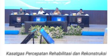 Kasatgas Tito: Layanan Kesehatan di Tiga Provinsi Pascabencana Beroperasi 100 Persen