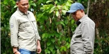 Dinas PUPR Barut akan Lakukan Perbaikan Jalan Rusak di Simpang Tripemuji