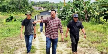 Wabup Barut Felix SY Tingan Pastikan Kesiapan Lahan Pembangunan BLK