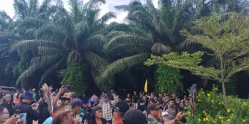 Aksi Massa KSU Handep Hapakat Klaim Pengelolaan Mandiri Lahan Plasma, PT GIJ Minta Hormati Proses Hukum