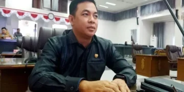 Anggota DPRD Barut apresiasi pemancangan tiang listrik masuk desa
