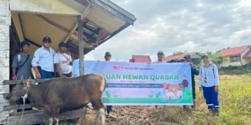 PT SKS Listrik Kalimantan Salurkan Hewan Qurban untuk Masyarakat Transmigrasi Tumbang Kajuei