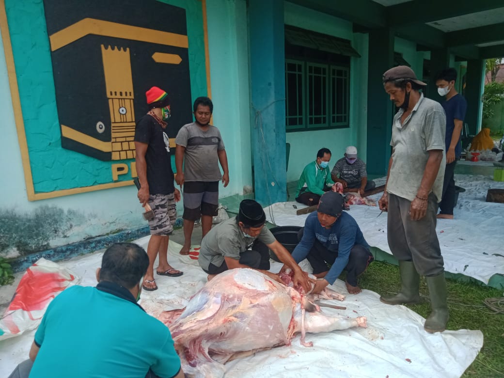 Proses pemotongan sapi kurban yang akan diberikan kepada masyarakat di lingkungan kantor DPW PPP Kalteng dan masyarakat yang terdampak pandemi covid 19, Rabu (21/7/2021). Foto : TN