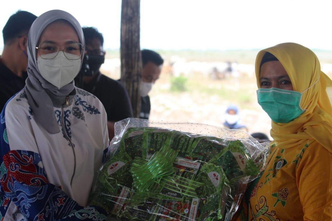 Ketua TP-PKK Prov. Kalteng Ivo Sugianto Sabran juga menyerahkan bantuan berupa masker, makanan tambahan (PMT) kepada Ibu Hamil dan Balita, bibit sayuran dan bibit jeruk diterima secara simbolis oleh Ketua TP PKK Kabupaten Sukamara Siti Zulaiha, Selasa (23/2/2021). Foto : BA.