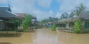 Wilayah Hulu Kabupaten Kapuas Dilanda Banjir