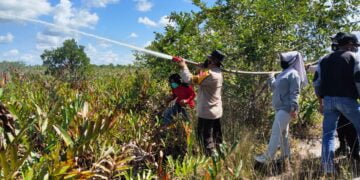 Antisipasi Karhutla Personil Polsek Seruyan Hilir Dinginkan Lahan