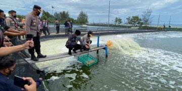 Kunjungi Sukamara, Wakapolda Bersama Kadislutkan Kalteng Tinjau Tambak Udang Vaname