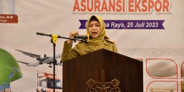 IKM Kalteng Harus Menjadi Pilar Utama Ekonomi Daerah dan Nasional