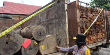 Polda Kalteng Amankan Dirut Perusahaan Bersama 2 Alat Berat, 3 Truk dan Kayu Log