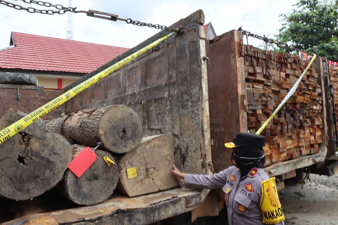 Wakapolda Kalteng Brigjen Pol. Ida Oetari Poernamasasi, S.A.P., M.A., melihat barang bukti kayu yang berhasil diamankan di Mapolres Katingan usai menggelar konferensi pers di Mapolres Katingan, Jum'at (26/03/2021) siang. Foto : Tbn