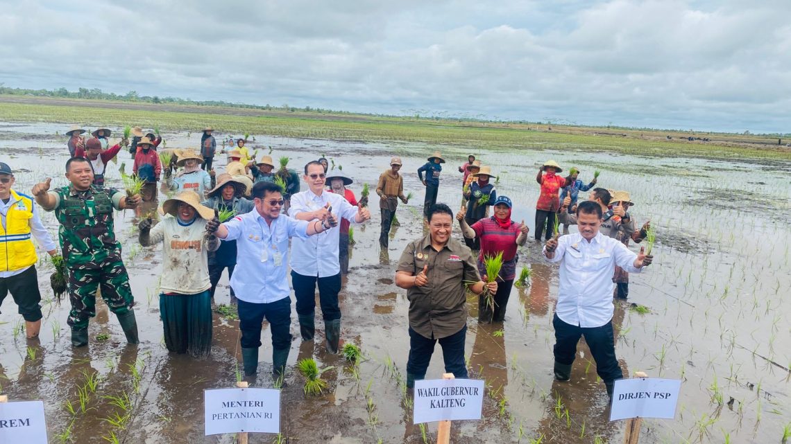 Mentan Syahrul Yasin Limpo bersama Wagub Kalteng H. Edy Pratowo menanam padi Varietas Inpari 32