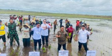 Percepat Tanam Lahan Ekstensifikasi Kawasan Food Estate, Mentan Didampingi Wagub Kalteng Tanam Padi di A5 Dadahup