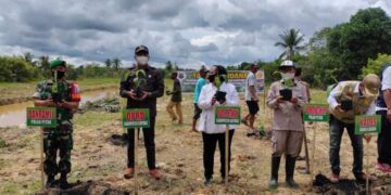 Kampung Pisang Food Estate Rambah Desa Sakalagun